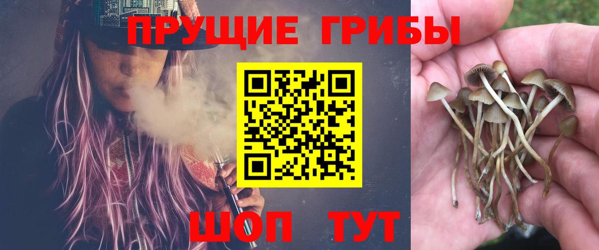 Кыштым  Галлюциногенные грибы мухоморы  Вход с VPN 